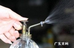 怎样才能养好红花文殊兰