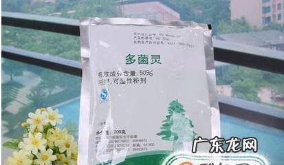 风信子怎么水养