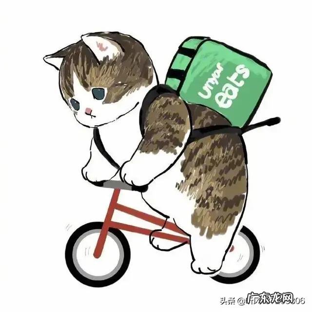 家猫可以当宠物养吗 退休后的你，会帮孩子养宠物猫吗