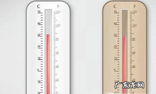 想要养好水培朱顶红需要注意哪些方面