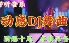 dj舞曲劲爆舞曲2022串烧
