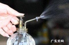 怎样才能养好万代兰