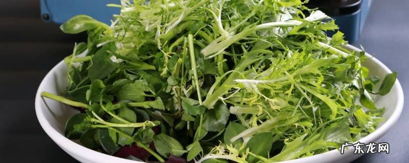 觅菜怎么吃怎么操作,苋菜的做法大全家常菜