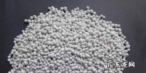 如何养好盆栽的鸡冠花