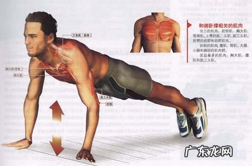 俯卧撑正确做法:如何做到不伤身?这3种俯卧撑,你可能会做!