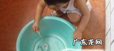 宝宝适合养什么样的宠物