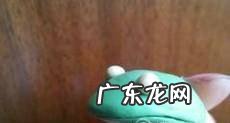怎样用超轻粘土做一只旅行青蛙