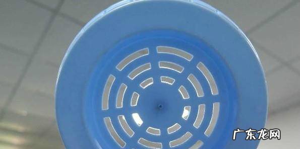 怎么养殖仙人掌仙人球如何才能养好