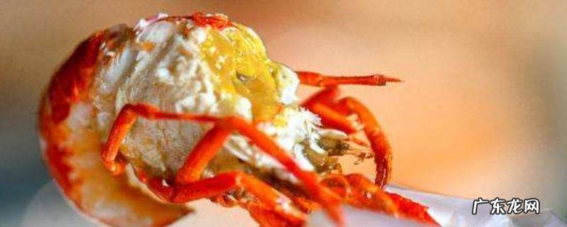 冻虾尾前面黄黄的能吃吗,冻虾尾虾黄能吃吗
