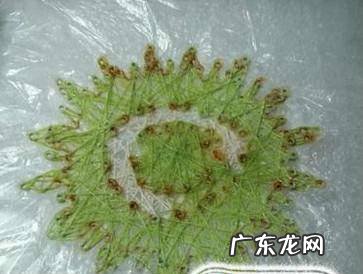 巧用缝纫线变身艺术品