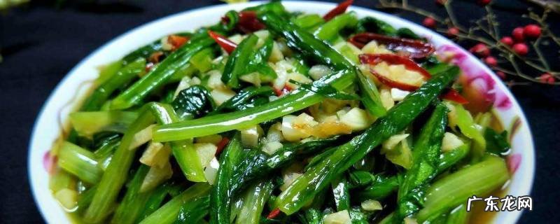 油麦菜怎么吃,油麦菜怎么炒好吃又简单