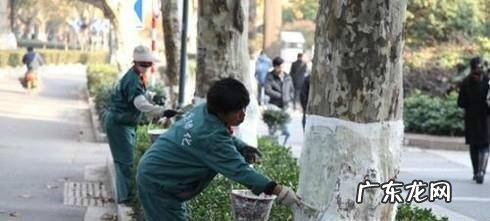 怎样让花草树木过冬