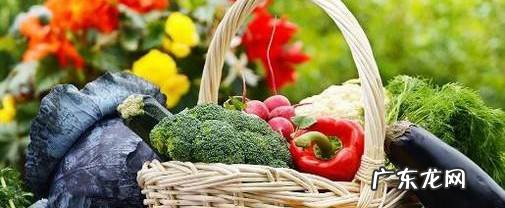 如何正确培养孩子健康饮食习惯