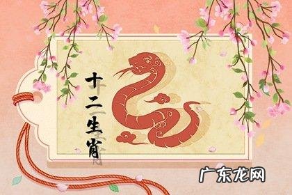 先入为主解什么生肖:他们总是先入为主的认为,别人是错的!