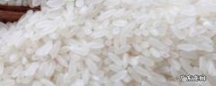 大米可以放冰箱冷冻吗,大米可以放冰箱冷冻吗大