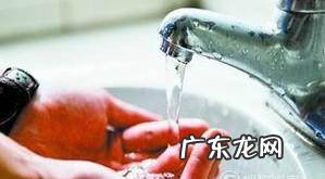 郁金香的水培方法