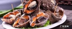 海螺可以直接冷冻吗,海螺能直接冷冻吗