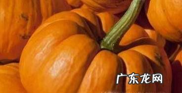 婴儿辅食之南瓜泥的制作方法