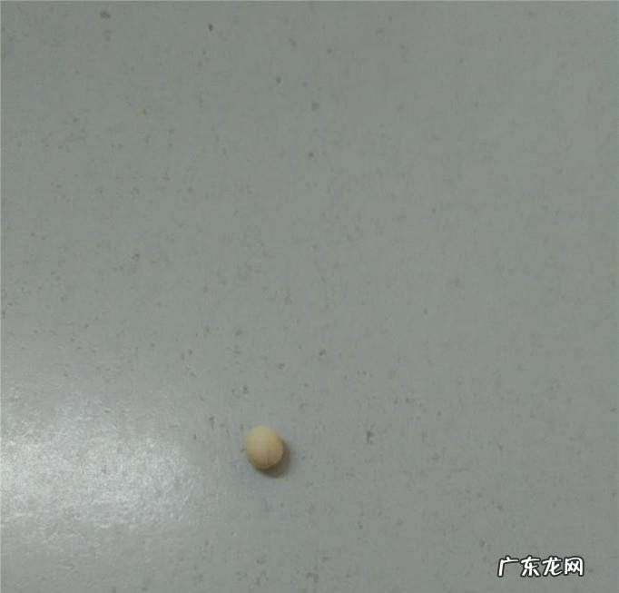 幼儿园手工太空泥橡皮泥小鱼制作教程