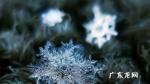 剪纸图案大全及方法雪花