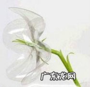 用矿泉水瓶底手工制作创意假花