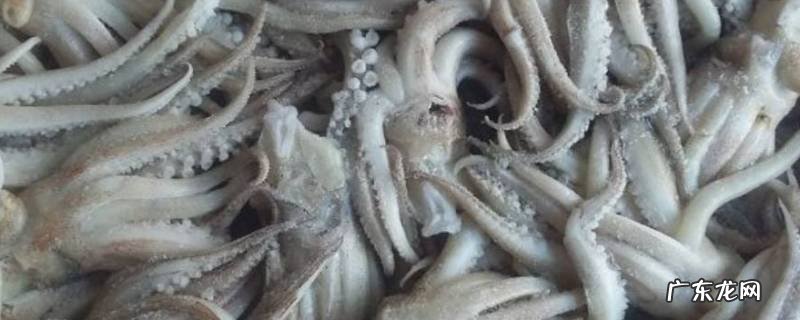 鱿鱼怎么做好吃,鱿鱼怎么做好吃视频