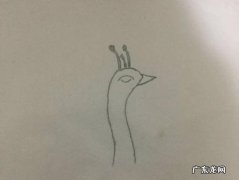 如何快速画孔雀