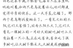 儿童专注力训练方法