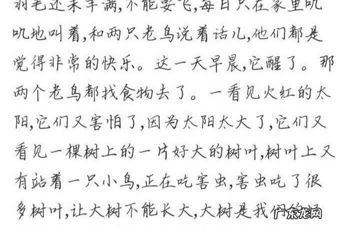 儿童专注力训练方法