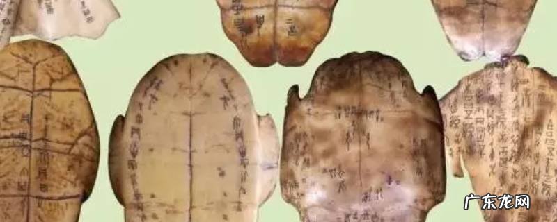 甲骨文刻在什么上面,甲骨文是刻在哪上面的文字
