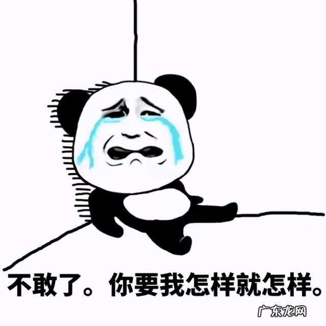 女子肇事致人死亡假装路人报警获刑