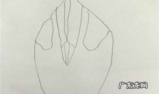 迪伽奥特曼怎么画