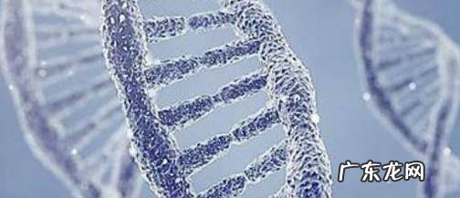 如何预防胎儿畸形