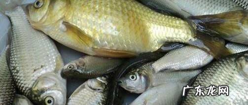 如何预防胎儿畸形