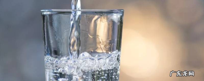 多久喝一次水,仓鼠多久喝一次水