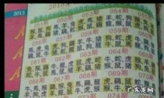 单肖是指哪几个？单肖是什么意思？单肖指的是谁？