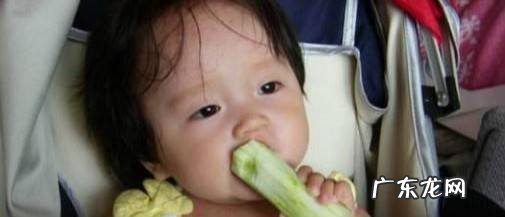 孩子不喜欢蔬菜怎么办