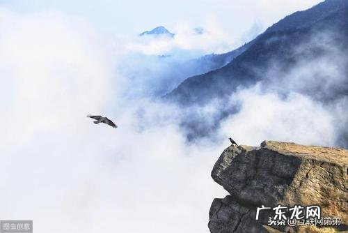 众鸟高飞尽下一句是什么?众鸟高
