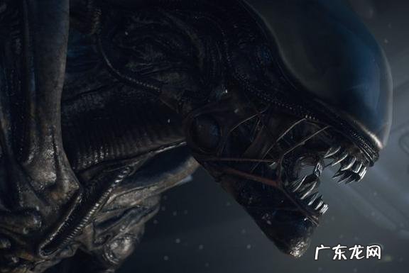 这是我玩过最可怕的游戏了