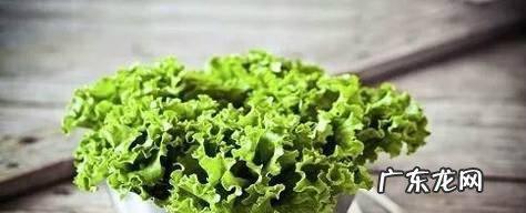 13天减肥食谱