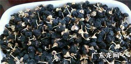 怎样区分黑枸杞品质的好坏