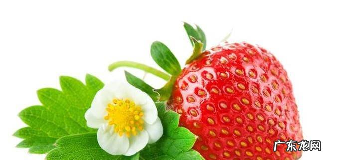 红色水果都有哪些红色水果的好处