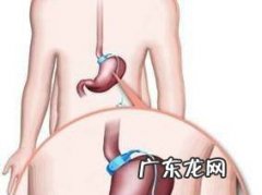 胃腩和肚腩有什么区别