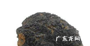 桦褐孔菌怎么吃