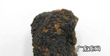 桦褐孔菌怎么吃