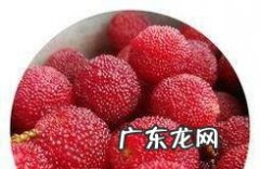 吃杨梅是不是会发胖呢夏季适量吃杨梅可以减肥的