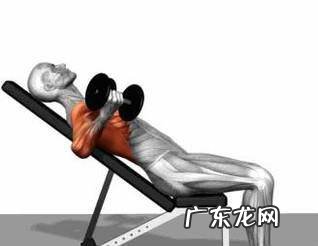 如何减肥之减掉肩膀我和胳膊的肉肉