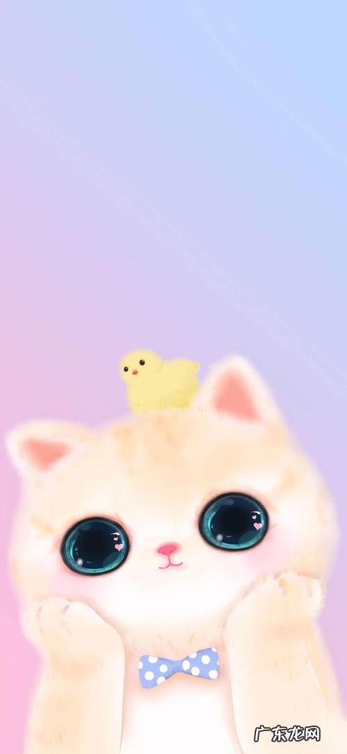 抖音最近很火的壁纸:你绝对没有见过这么美的花海!
