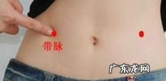 按摩腰带能减肥吗