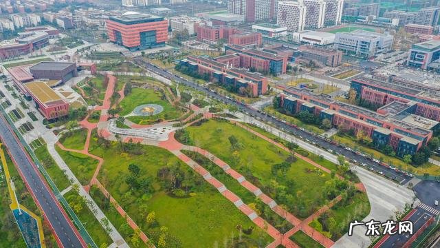 哪些赛事值得我们期待 全球多地举办庆祝活动迎接2023年